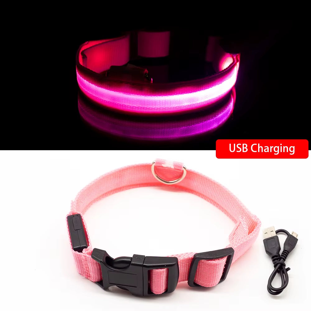 USB Charging/Battery Replacement Led Dog Collar Anti-Lost Collar for Dogs Puppies Dog Collars Leads LED Supplies Pet Products