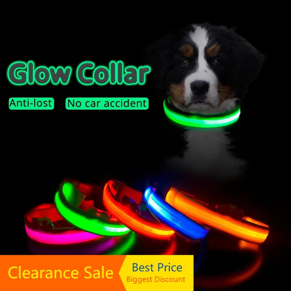 USB Charging/Battery Replacement Led Dog Collar Anti-Lost Collar for Dogs Puppies Dog Collars Leads LED Supplies Pet Products